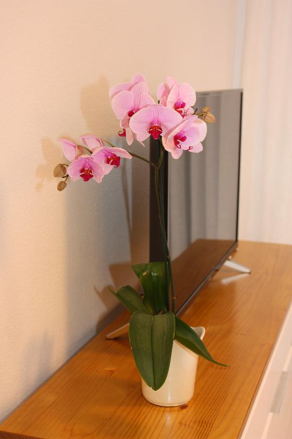 Beautiful Apartment In Apartamerica, Las Americas Playa de las Americas (Tenerife) Exterior foto